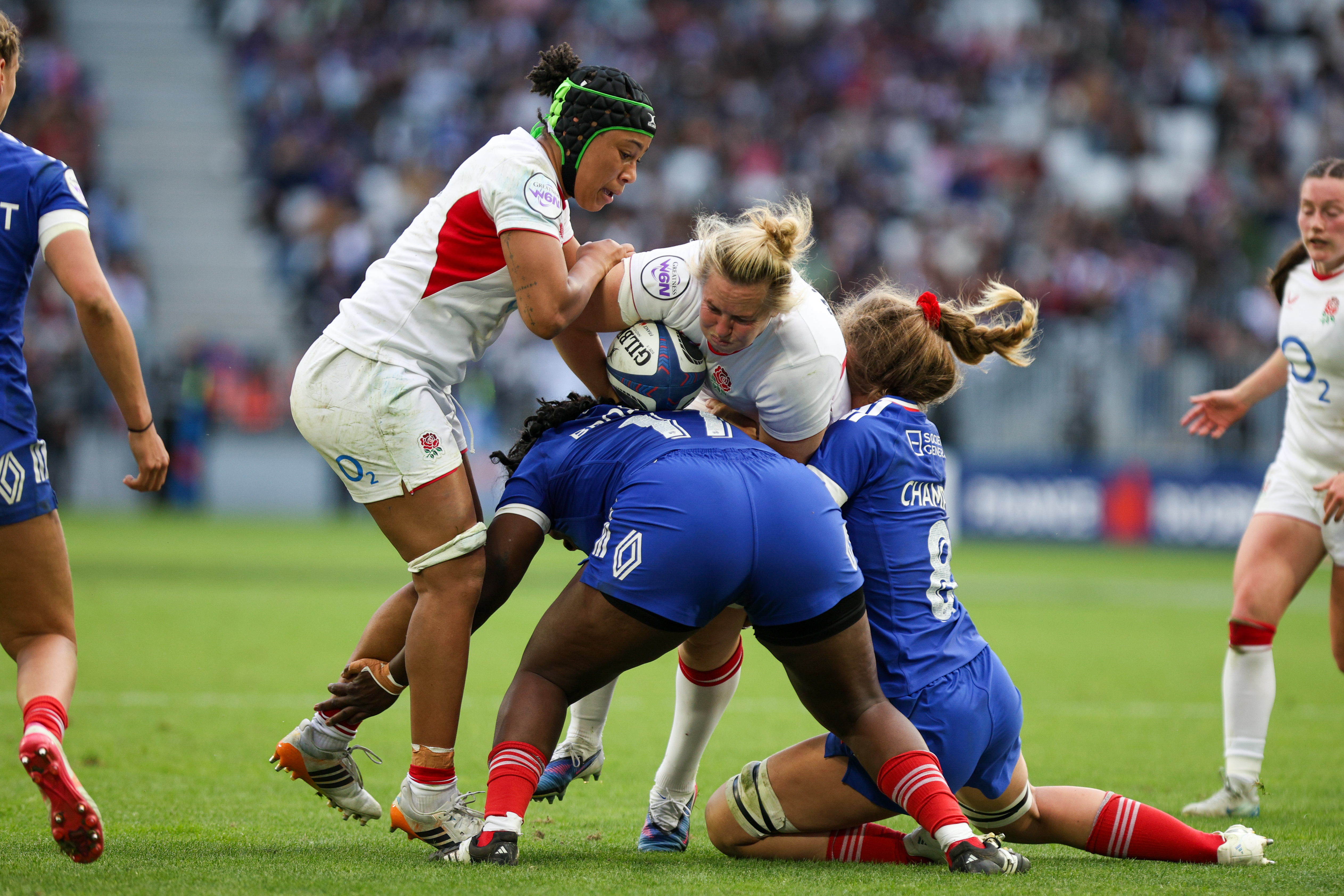 Rugby Portfolio