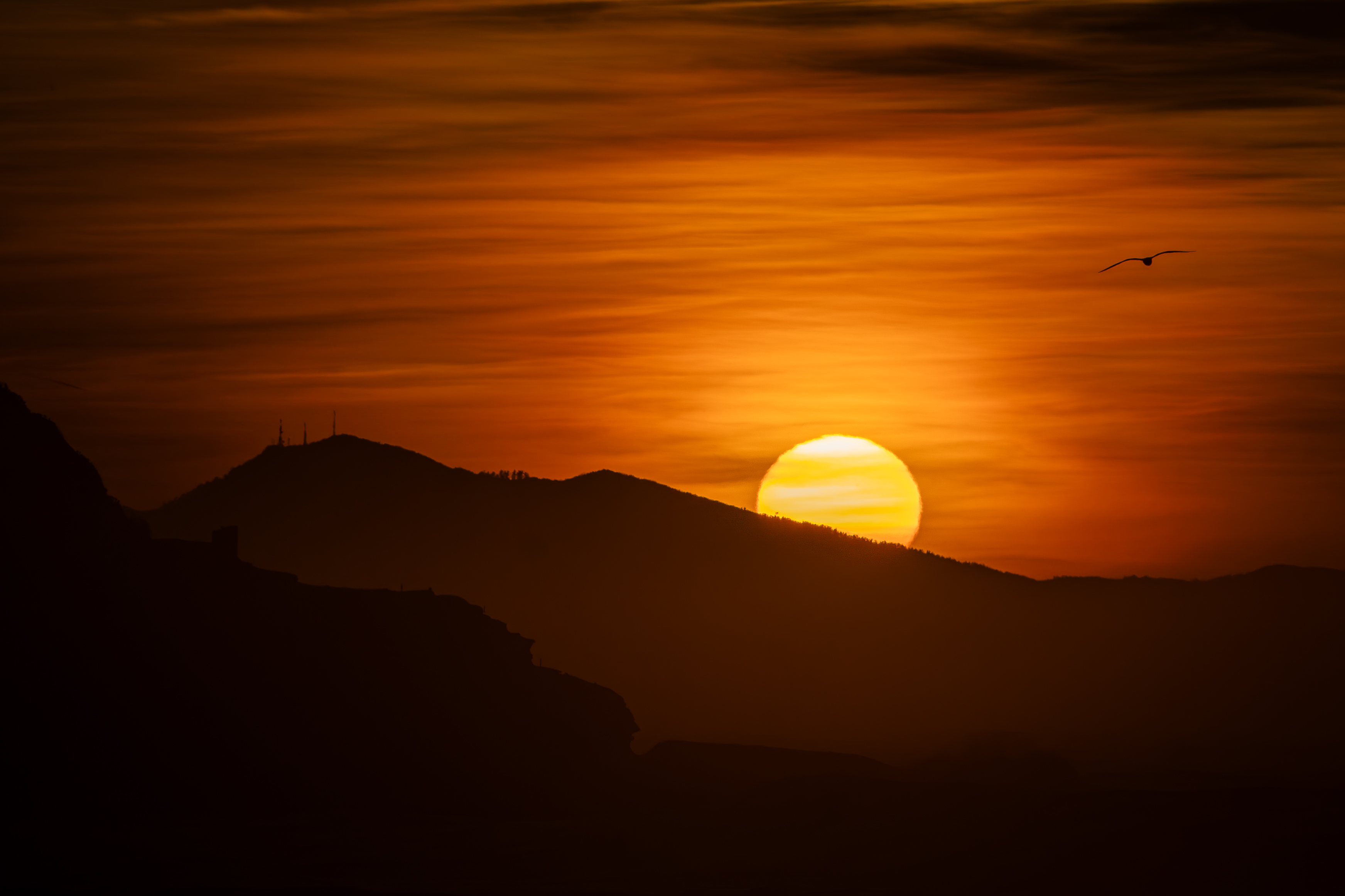 Paysages Portfolio